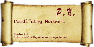 Palásthy Norbert névjegykártya